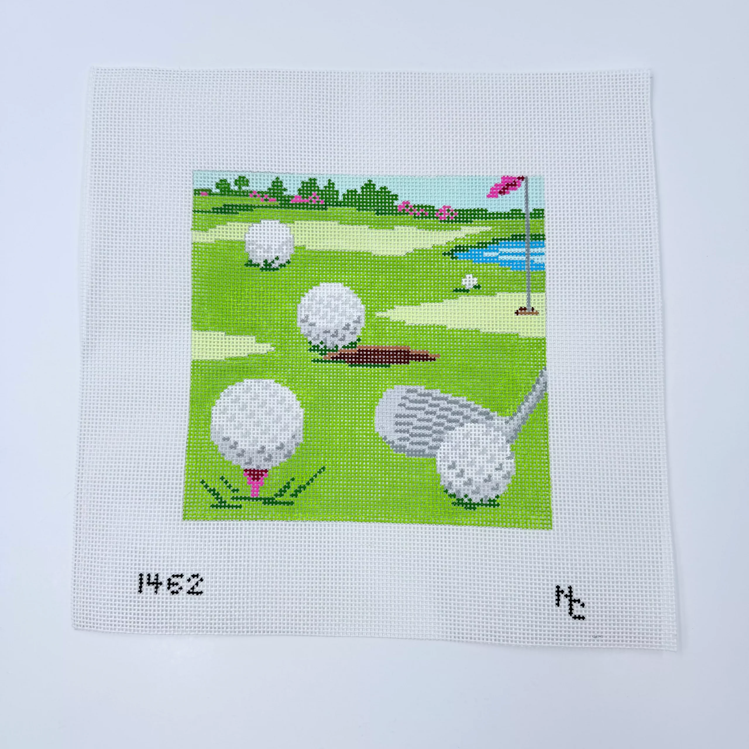 Golf Course Eyeglass Case Canvas