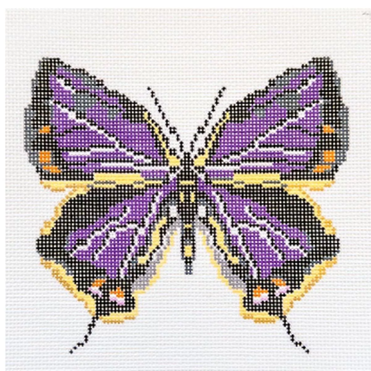 Initial K Studio - IKS 3053B Colorado Butterfly