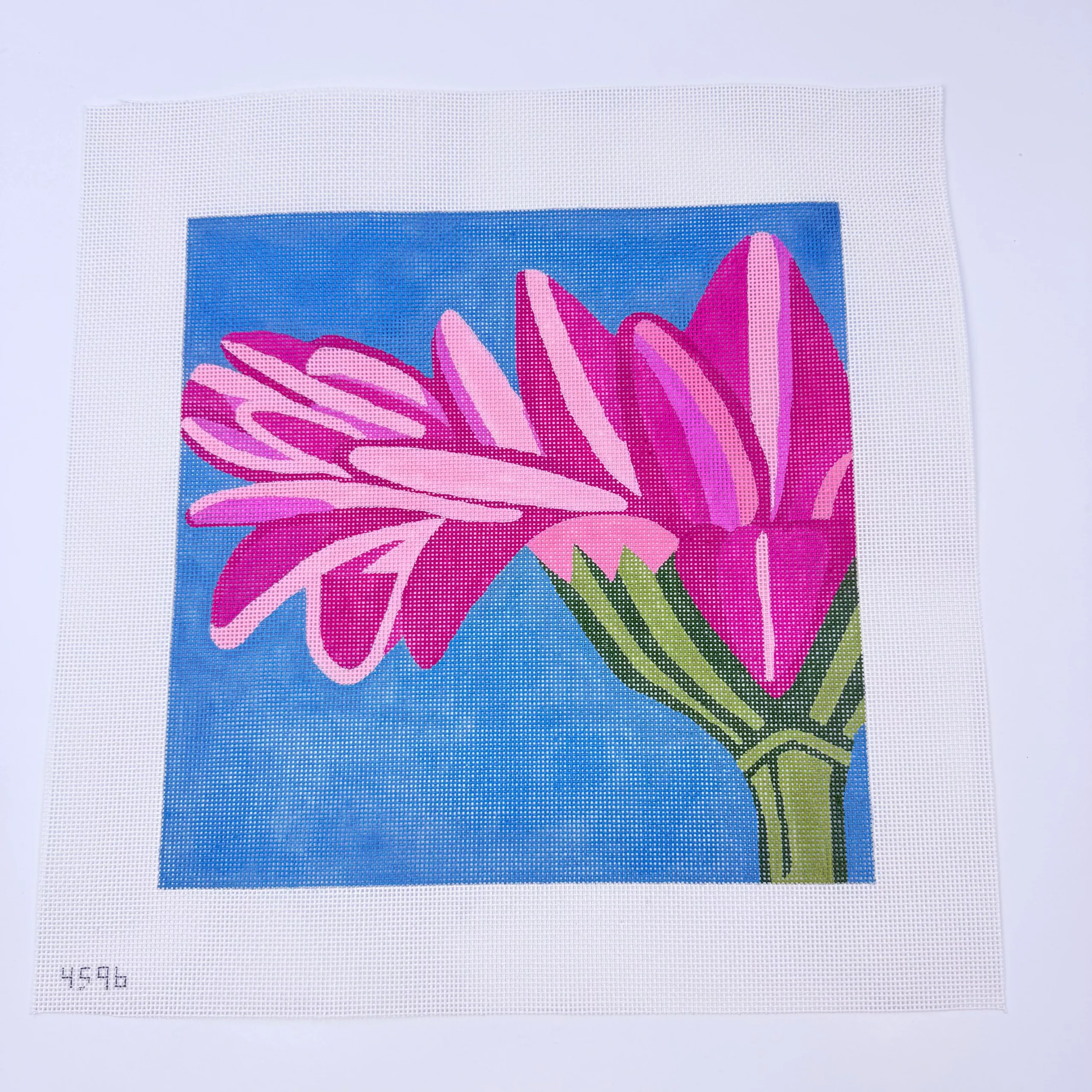 Pink Gerber Daisy Canvas