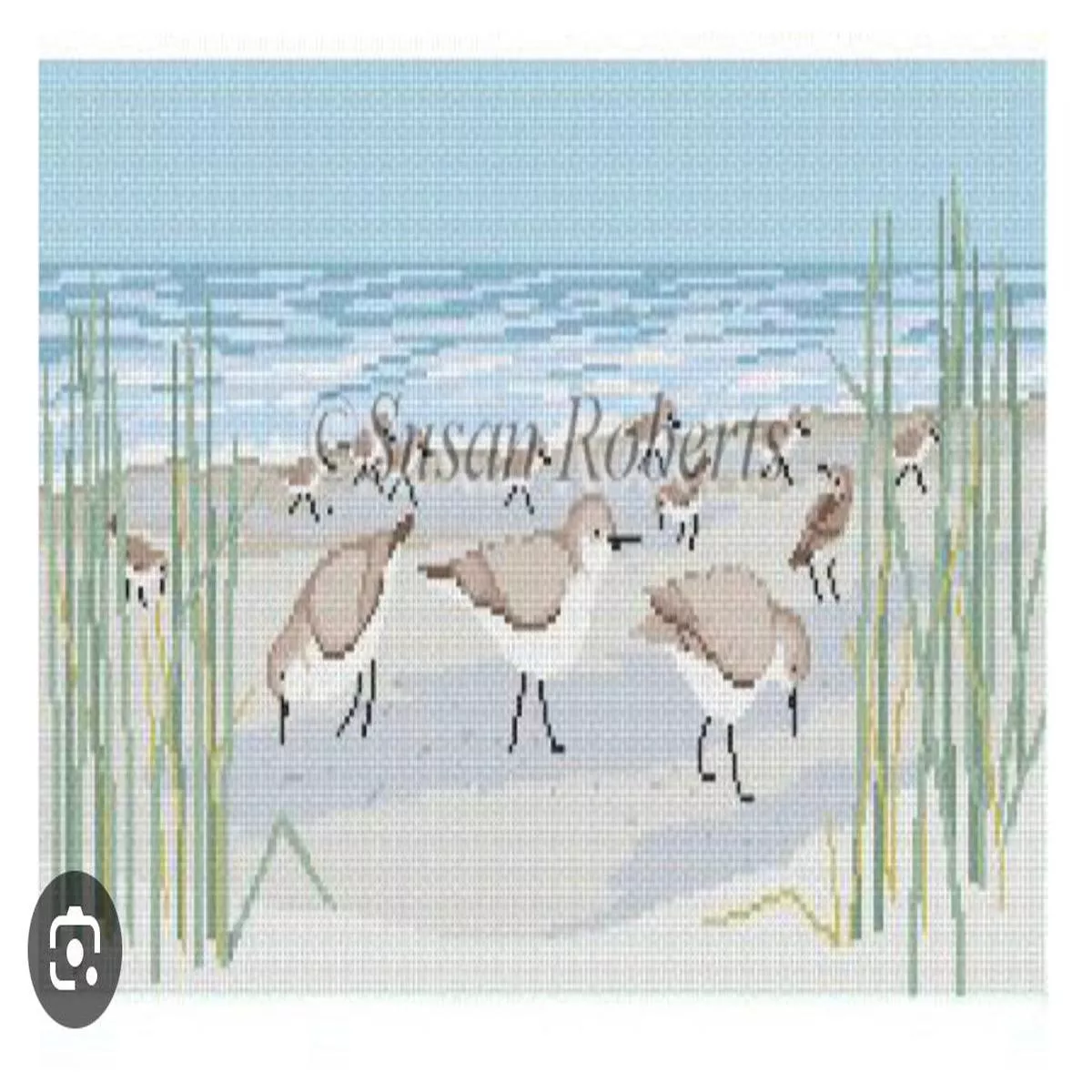 Susan Roberts Sanderlings 1159