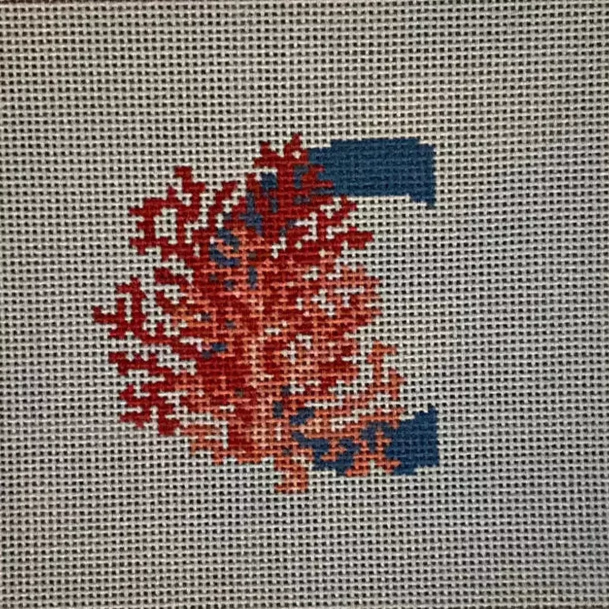 TSS-AL-C - C is for Coral